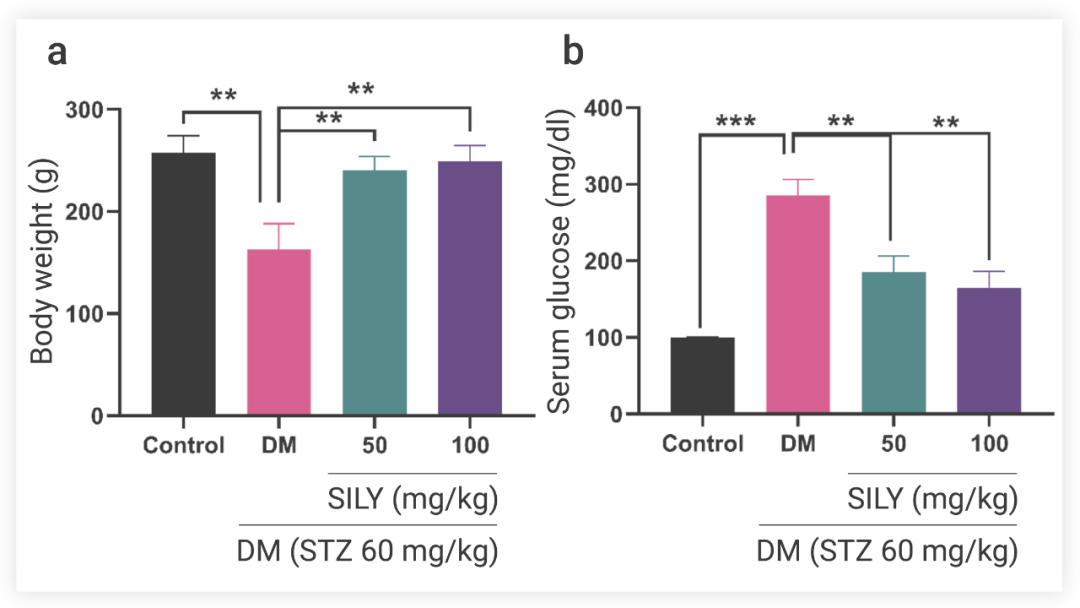 图 2. Silymarin 对糖尿病大鼠体重和血糖的影响[7] a. 糖尿病大鼠体重变化 b. 糖尿病大鼠血糖变化