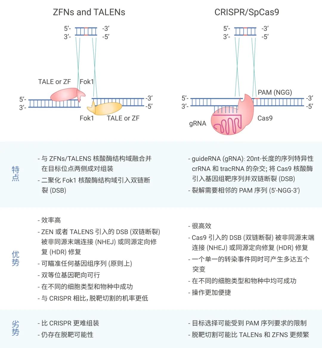 图 1. 不同基因编辑手段的对比