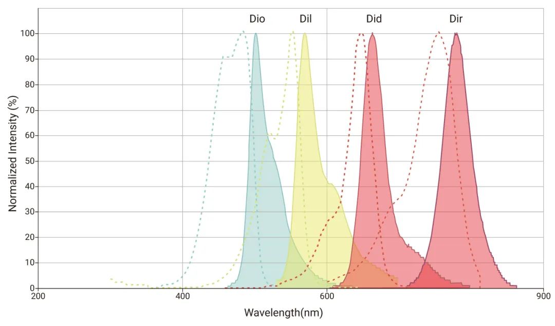 图 1. DiO、DiI、DiD、DiR 光谱图