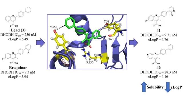图1.化合物41和46的结构式(图片来源:《J. Med. Chem.》)