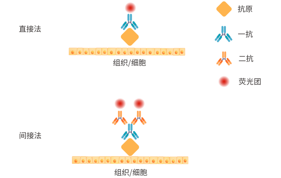 图 2. 直接法和间接法示意图。