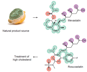 图2. 瑞舒伐他汀-青霉菌天然提取物类似物