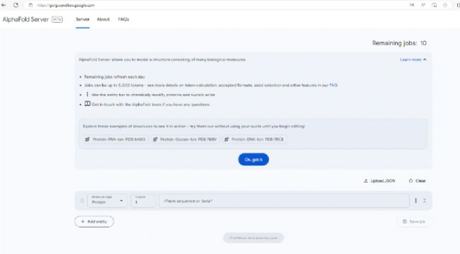 图 5. AlphaFold Server 操作界面 