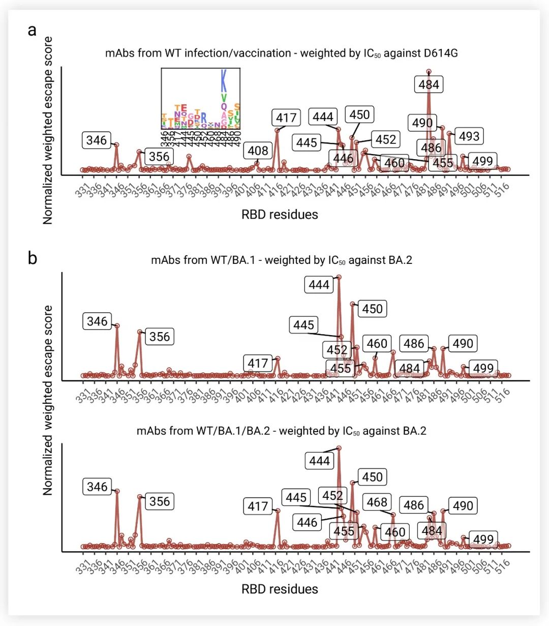图 5. 预测的 SARS-CoV-2 变异株逃逸热点[1] a) SARS-CoV-2 原型株感染康复者或疫苗接种者抗体的归一化加权平均逃逸分数; b) SARS-CoV-2 原型株或 BA.1/BA.2 突破性感染康复者抗体的归一化加权平均逃逸分数