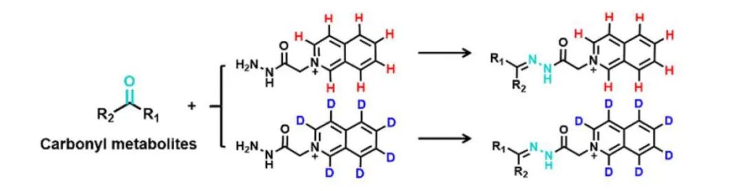 图 2. 稳定同位素与不同官能团代谢物的衍生化反应[3]