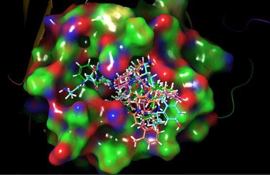 图 2. 代表性化合物与靶蛋白的结合模式图