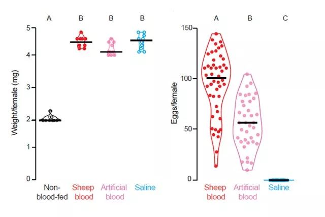 Figure 1.  喂食不同食物对蚊子产卵行为产生的影响