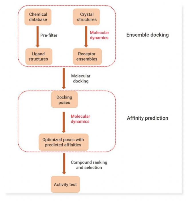 图 1. 结合分子动力学模拟的虚拟筛选工作流程[1]。 