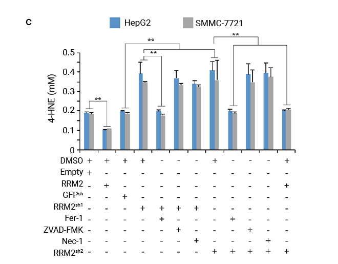 图 4. 通过 CTG 法测定 RRM2 对细胞活力的影响[2] (a) 在体外表达或敲除 RRM2 的 HepG2 和 SMMC-7721 细胞中测量细胞死亡 (b) 和 4-HNE 水平 (c)，然后再用 Fer-1、ZVAD-FMK、Nec-1 或体外表达的 RRM2 进行进一步处理。细胞活力测定采用 CTG 发光细胞活力测定法。