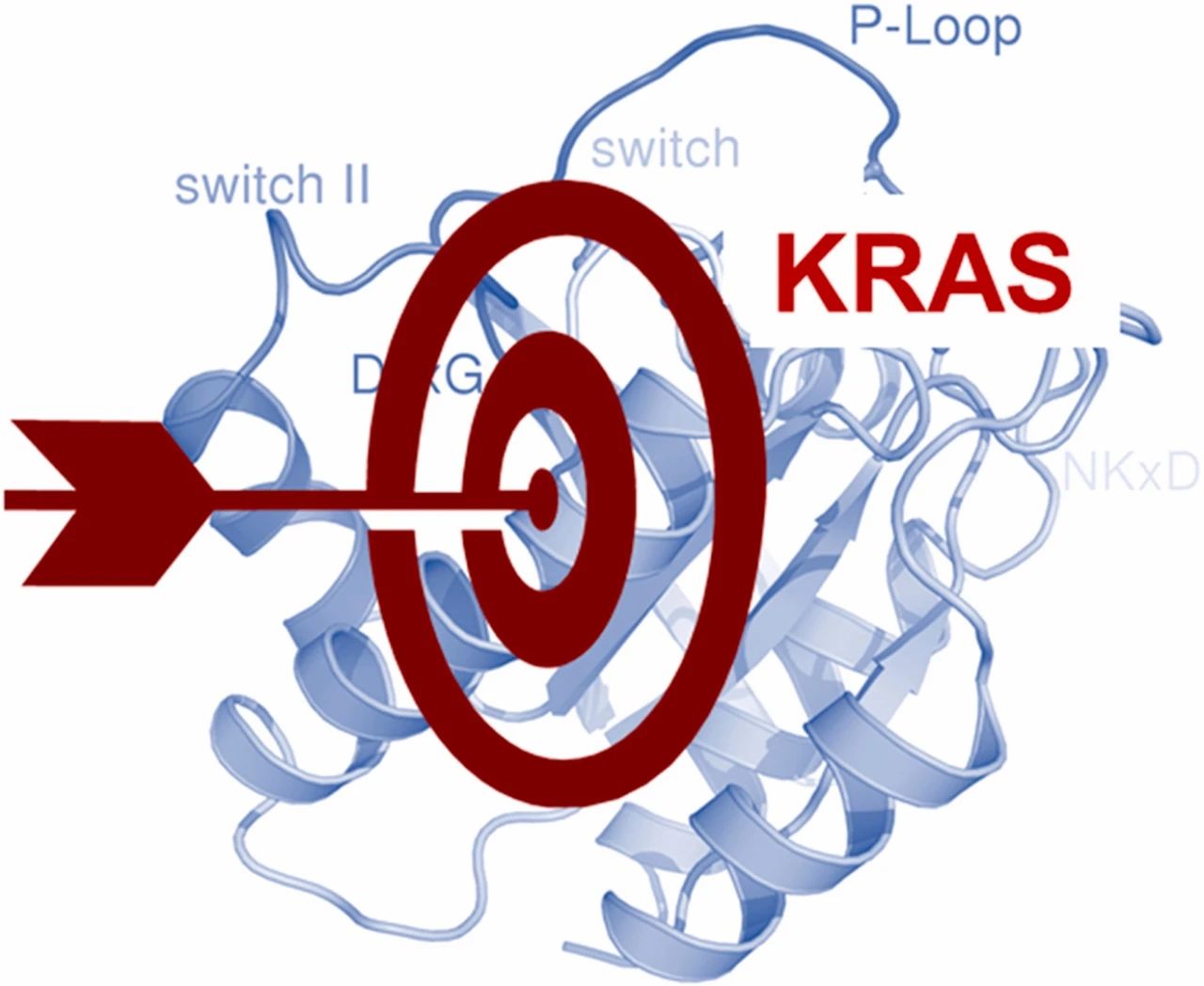 靶向 KRAS[2]