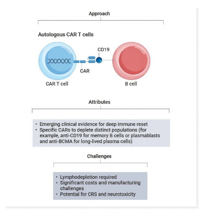 图 5. 来自患者自身的自体嵌合抗原受体 (CAR) T 细胞，靶向 B 细胞上的抗原，例如 CD19[3]。