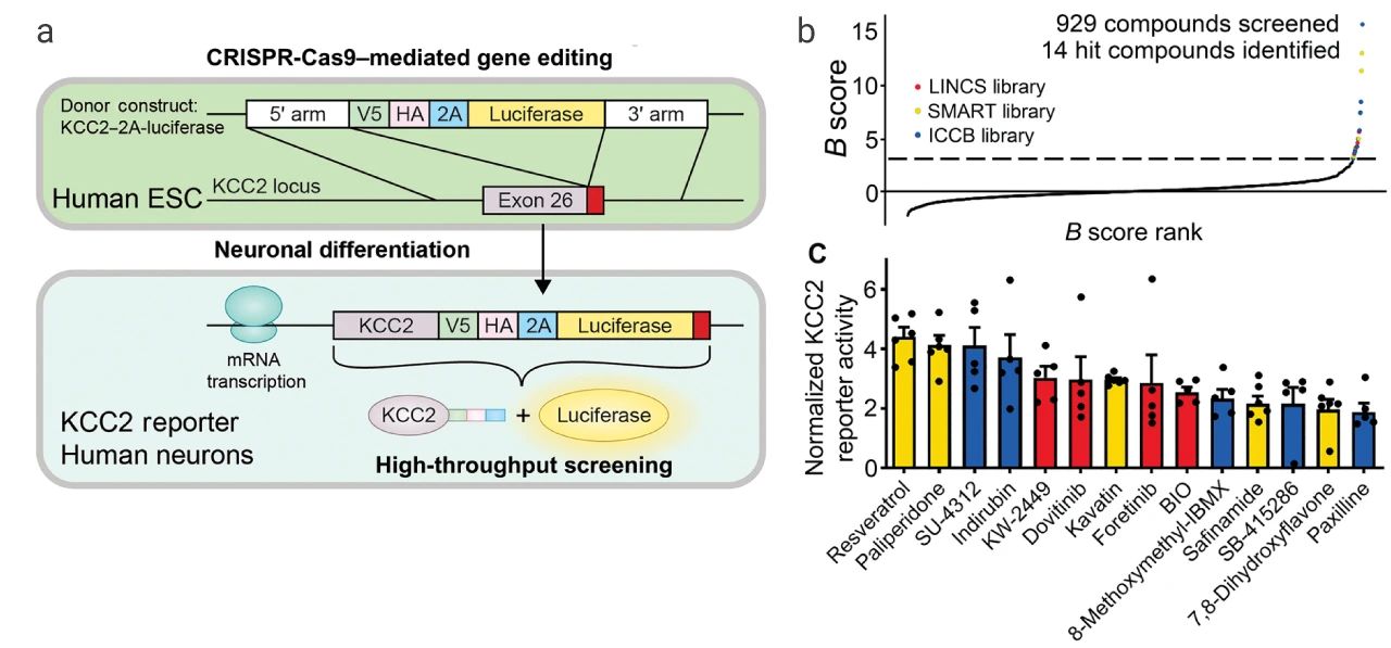 图 3. KEECs 的筛选[6]