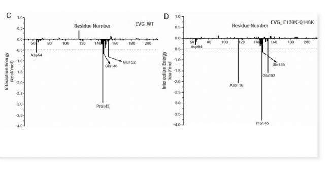 图 5. 分子动力学模拟在阐明 HIV-1 链转移抑制剂交叉耐药分子机制中的应用[5]。 