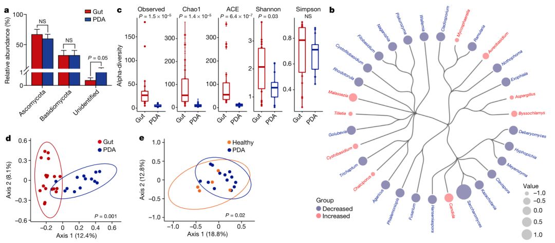 Fig. 2: 人类 PDA 与一个独特的分支生物群有关