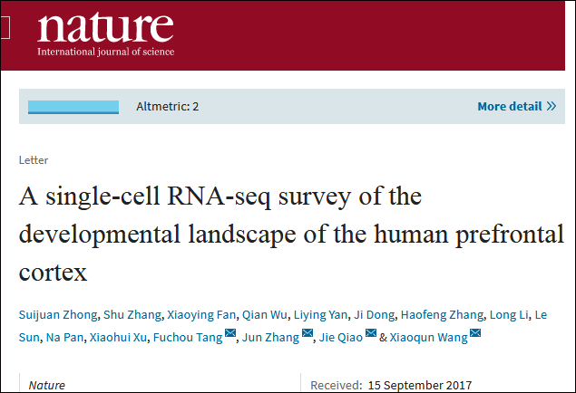 科普|中国科学家首次解析人脑“中央处理器”