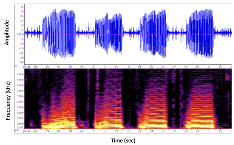 ▲ 图 / researchgate