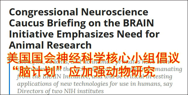 科普|中国科学家首次解析人脑“中央处理器”