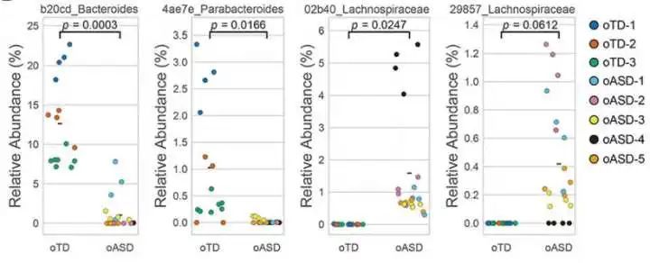 肠子决定脑子,魔性or科学?