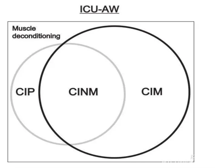 临床症状、评估、干预回顾-ICU里的“天籁之音”