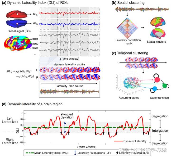 音乐的喜怒哀乐,大脑如何“分工”感受?