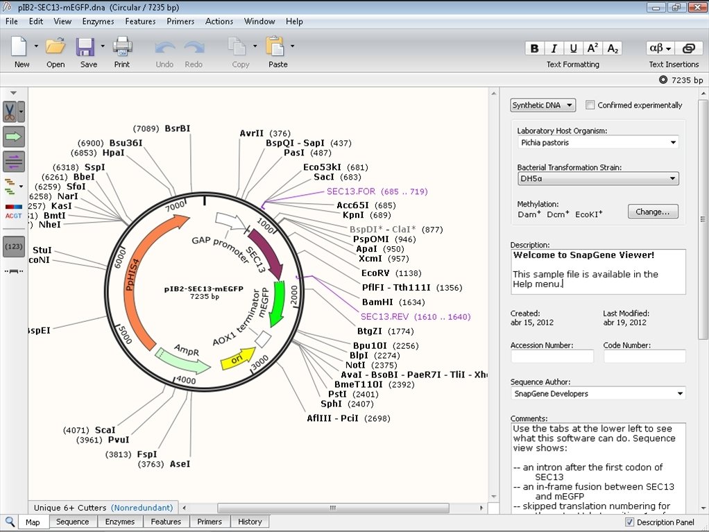 snapgene-viewer-11050-1.jpg