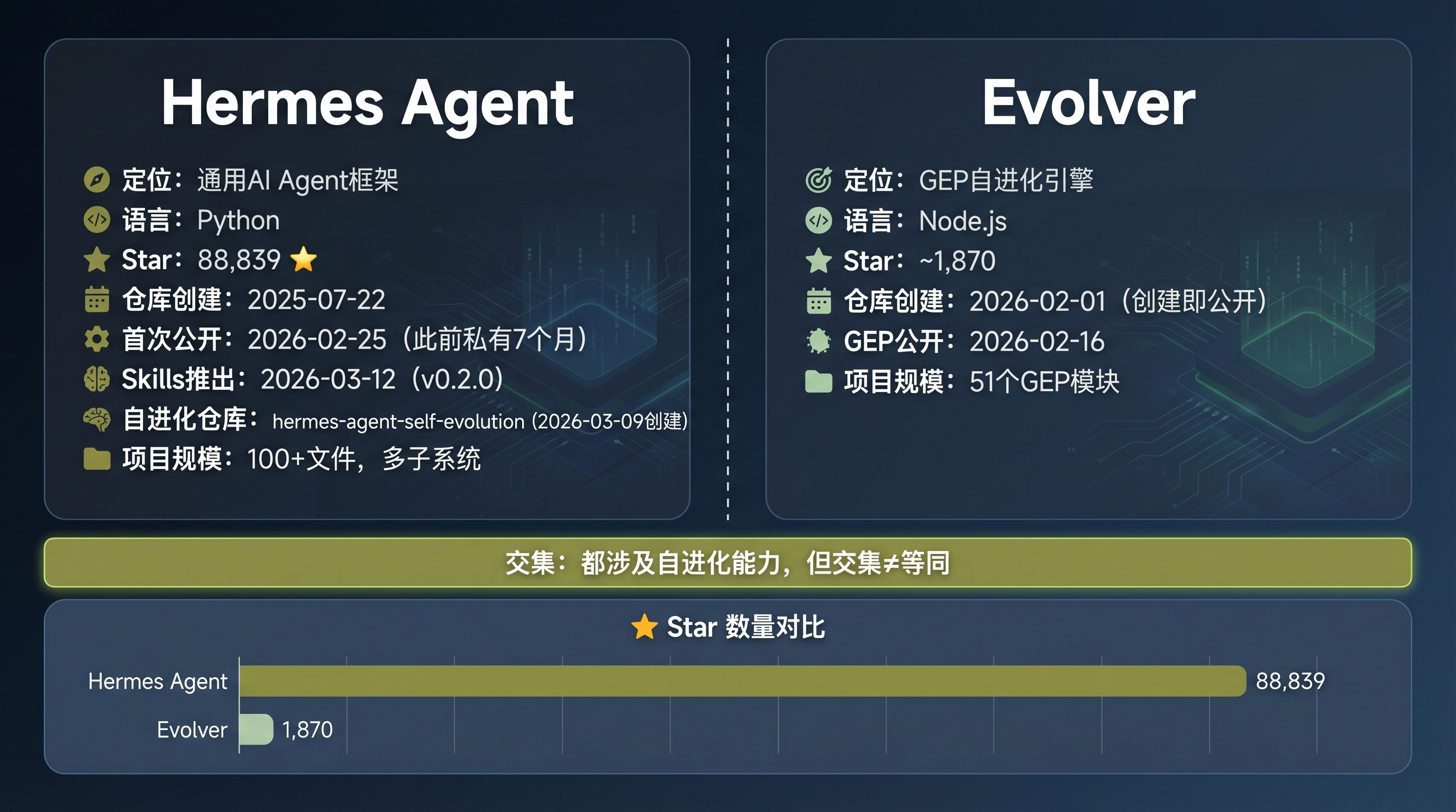 Hermes vs Evolver 多维度对比图