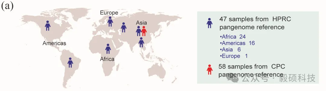 图1 两个泛基因组项目所采集样本的地理来源
