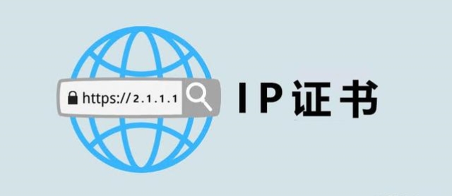 针对公网IP签发的IP地址SSL证书