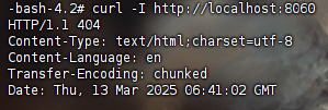 image-20250313144309673
