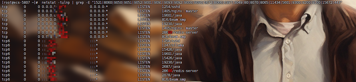 image-20250313141546455