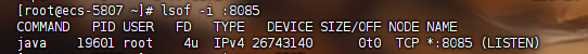 image-20250313142943948