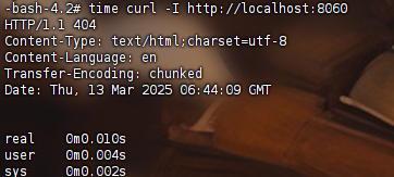 image-20250313144512862