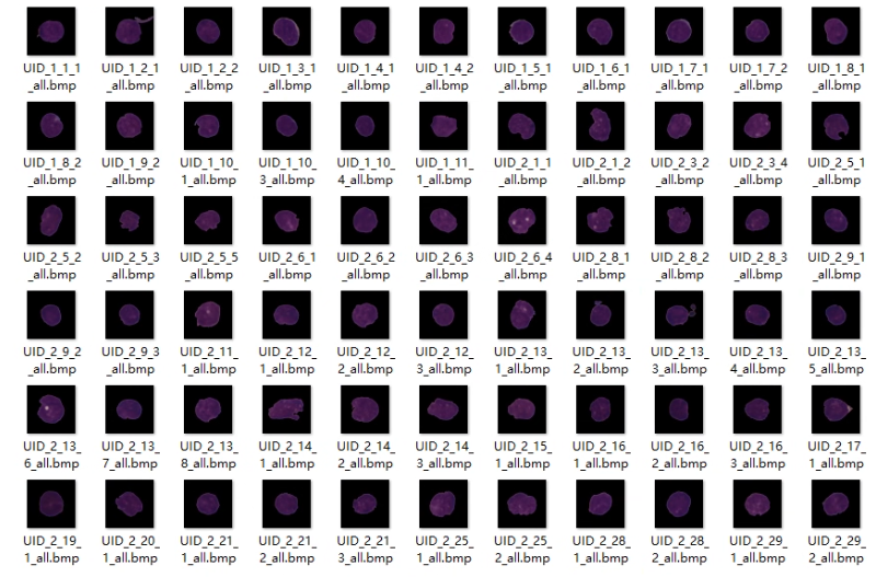 image-20250903014628407