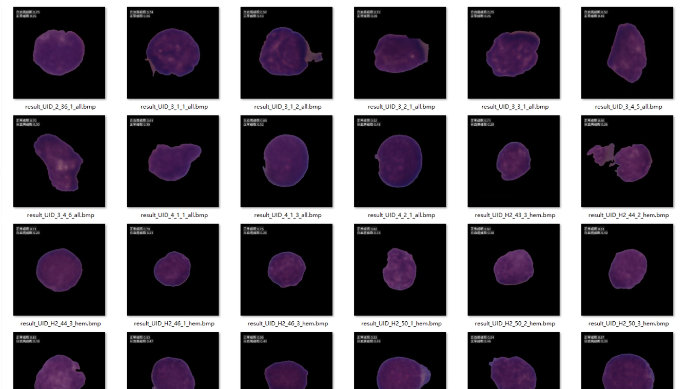 image-20250903014559047