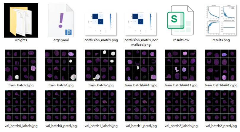 image-20250903014653775