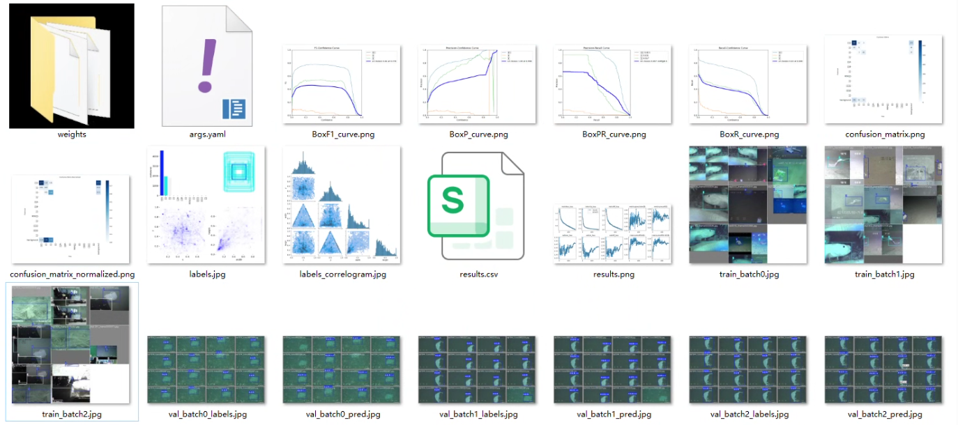 image-20250801194856537