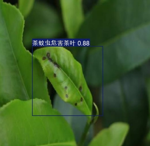 image-20250907204615773