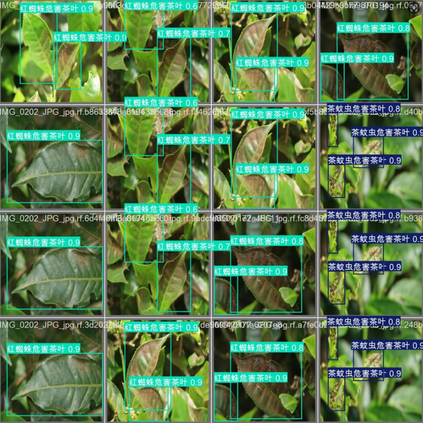 image-20250907204524077