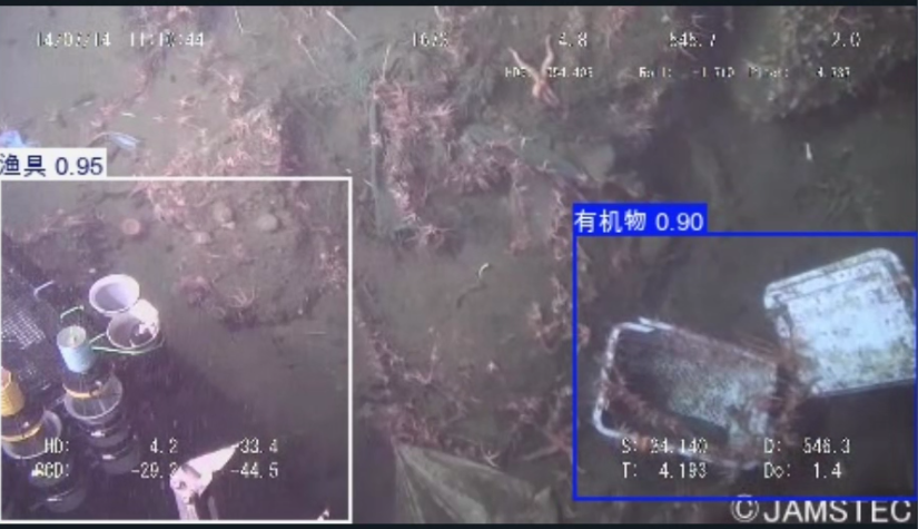 image-20250801194934040