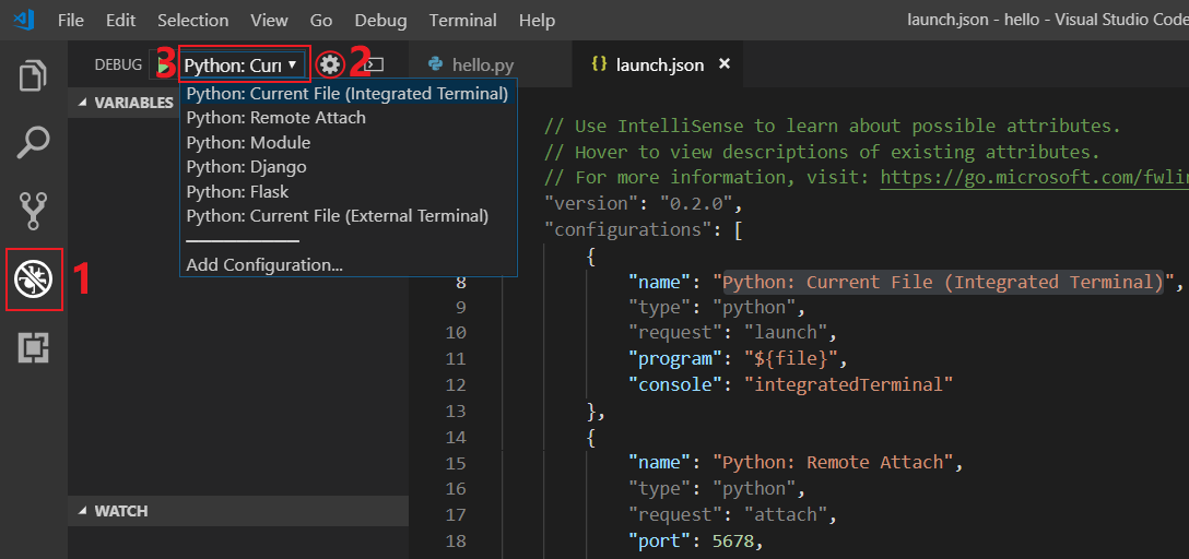 launch.json 文件内容示例