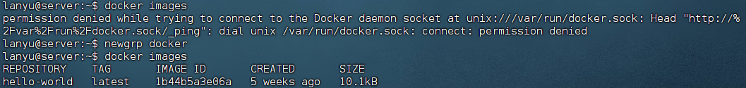Ubuntu2404Docker安装-25103017-13