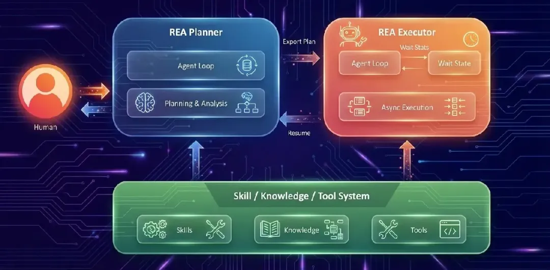 图片来源于原文
