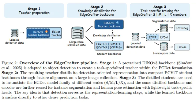 图片来源于原论文