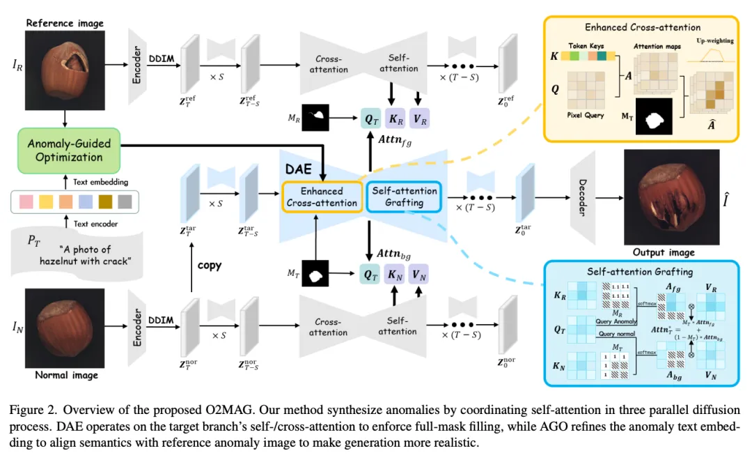 图片来源于原论文