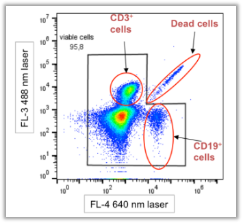 Fig. 9. 死细胞干扰特征示意图。死细胞在图上沿对角线分布（Dead cells）。死细胞的自发荧光在多个荧光通道均有信号，短波长（蓝/绿）通道干扰显著，经常是呈现“彗星尾”状或弥漫性地向高荧光方向拖尾、扩散。