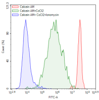 图2. 293T细胞流式细胞仪数据(1×Calcein，1×CoCl2，1×Ionomycin)