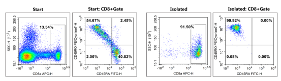 图2. 如上图所示，人PBMC细胞使用EasySortTM Human Memory CD8+T Cell Isolation Kit（MIH010N）分选记忆CD8+T细胞后用APC Anti-Human CD8a Antibody[OKT-8] (E-AB-F1110E)、PE/Cyanine7 Anti-Human CD45RO Antibody[UCHL1] (E-AB-F1139H)和FITC Anti-Human CD45RA Antibody[HI100](E-AB-F1052C)染色并进行流式细胞术分析，分选前后人记忆CD8+T细胞CD8+CD45RA-CD45RO+的细胞纯度分别为7.4%和91.4%。