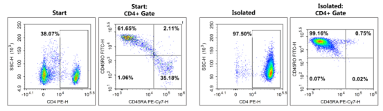 图1. 如上图所示，人PBMC细胞使用EasySortTM Human Memory CD4+T Cell Isolation Kit（MIH009N）分选记忆CD4+T细胞后用PE Anti-Human CD4 Antibody[RPA-T4] (E-AB-F1109D)、PE/Cyanine7 Anti-Human CD45RA Antibody[HI100] (E-AB-F1052H)和FITC Anti-Human CD45RO Antibody[UCHL1](E-AB-F1139C)染色并进行流式细胞术分析，分选前后人记忆CD4+T细胞CD4+CD45RA-CD45RO+的细胞纯度分别为23.47%和96.68%。