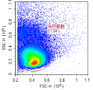 Ficoll分离液处理