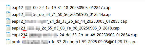 image-20250907105727685